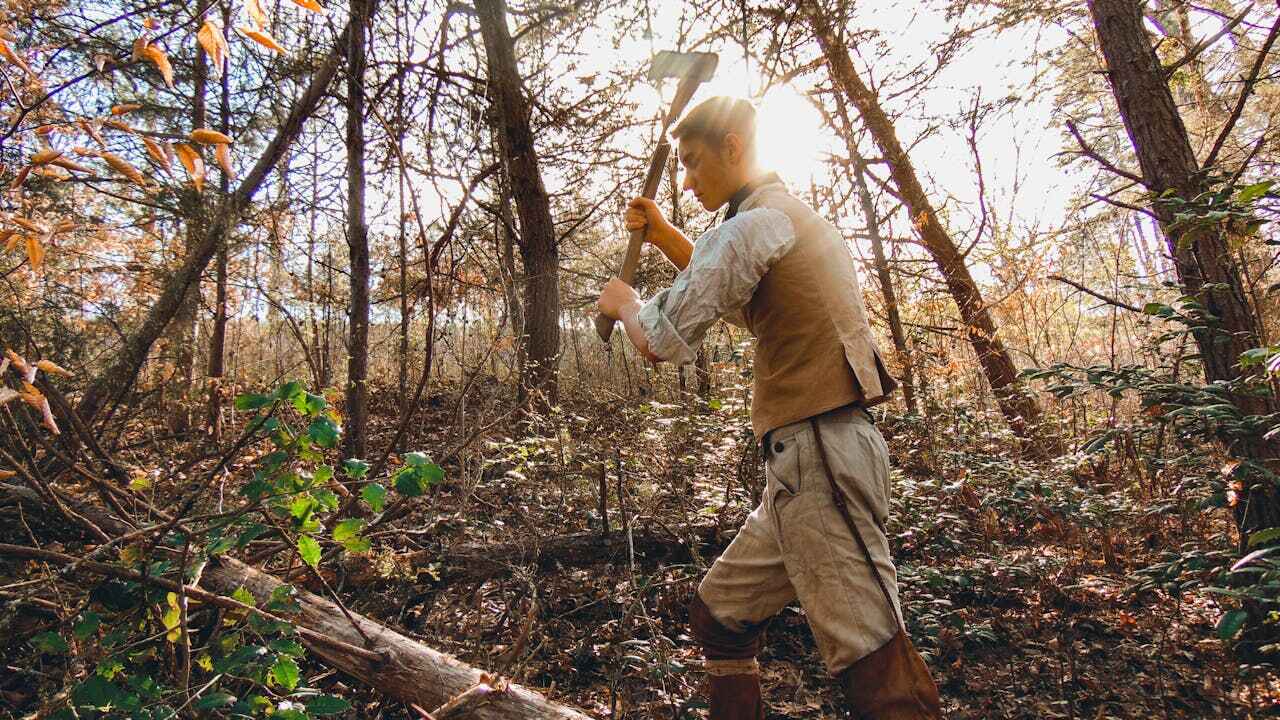 Best Tree Branch Trimming  in Kendall West, FL